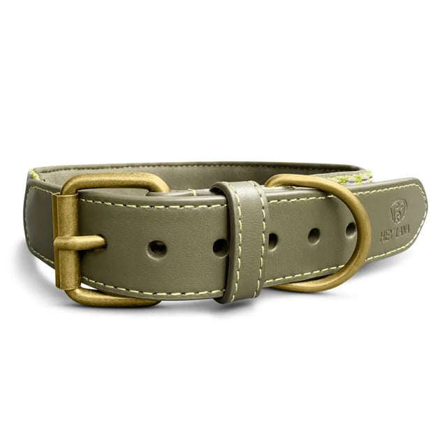 Hey Lana Hundehalsband Gepolstert – Olivgrün/Neongelb Hundehalsband