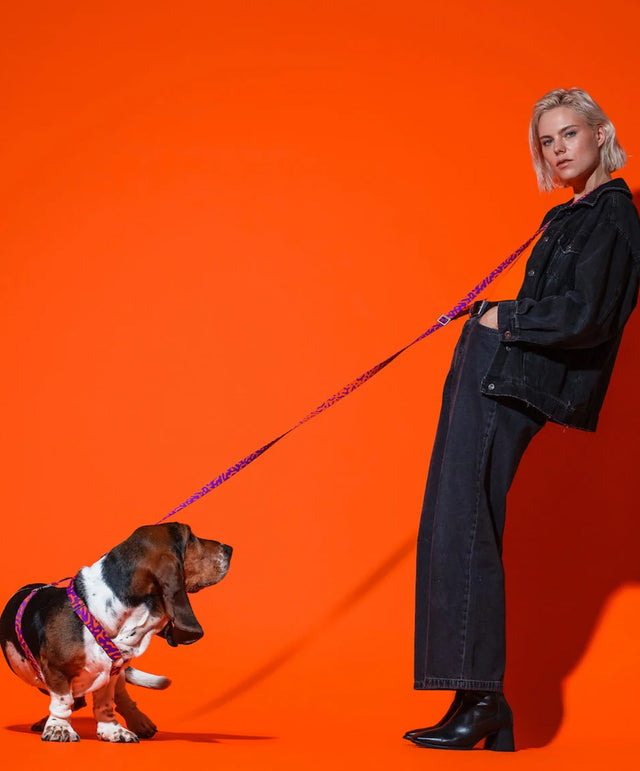 HOT DOGGIES Hundeleine Hands-Free, Poppy Sunrise Hundeleine