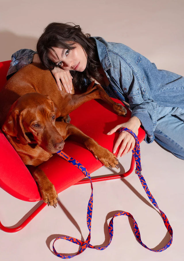 HOT DOGGIES Hundeleine Hands-Free, Rocky Electric Hundeleine