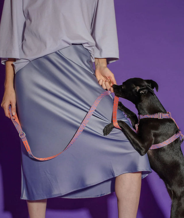 HOT DOGGIES Hundeleine Klassik, Lily Coral Hundeleine