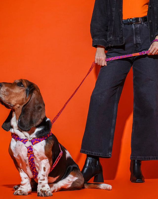 HOT DOGGIES Hundeleine Klassik, Poppy Sunrise Hundeleine