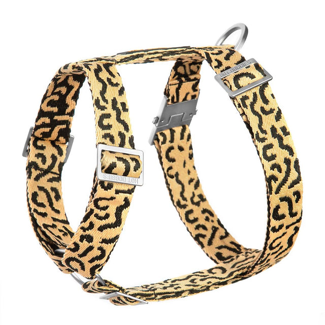 Hundegeschirr, Coco Noir
