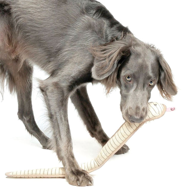 Cloud7 Hundespielzeug Schlange Smilla Hundespielzeug