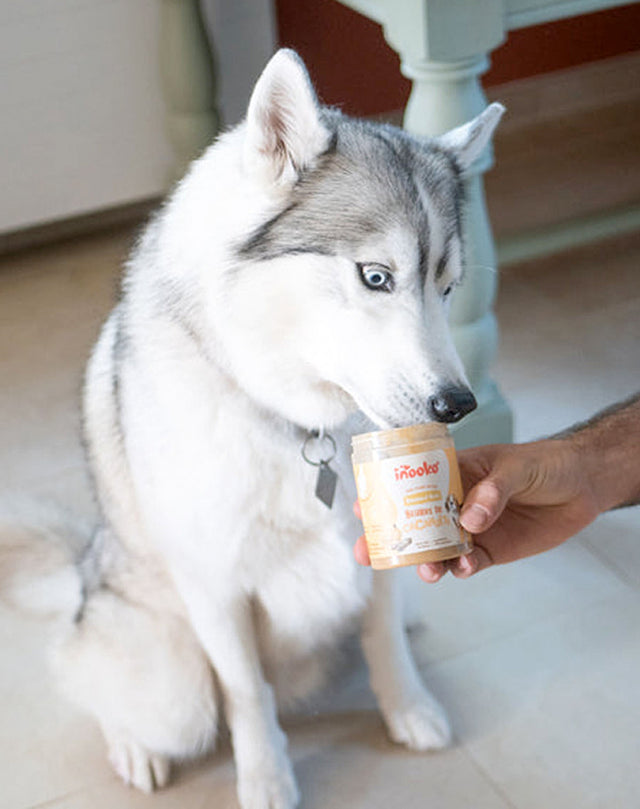 inooko Erdnussbutter Banana n’ Nuts, 300g Hundeleckerli