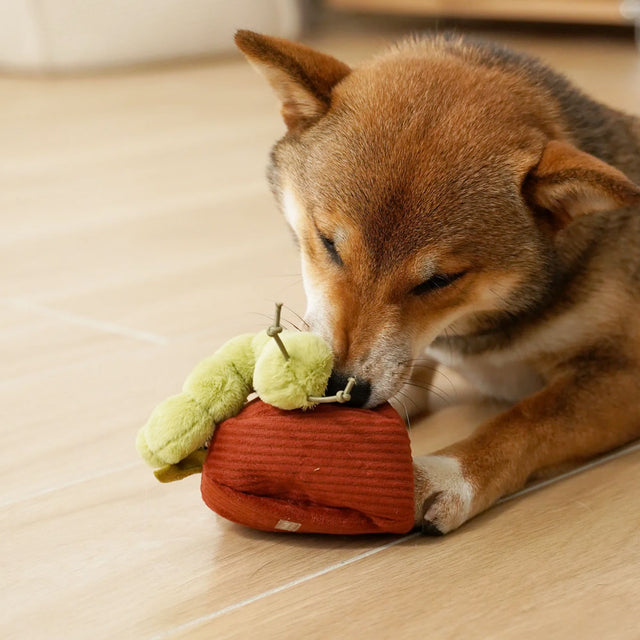 Lambwolf Collective Schnüffelspielzeug APPLE Interaktiv