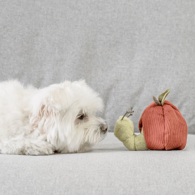 Lambwolf Collective Schnüffelspielzeug APPLE Interaktiv