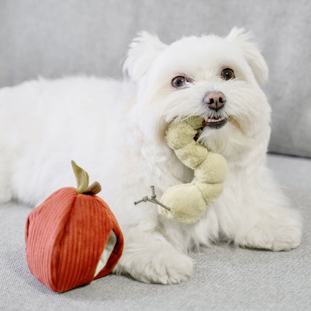 Lambwolf Collective Schnüffelspielzeug APPLE Interaktiv
