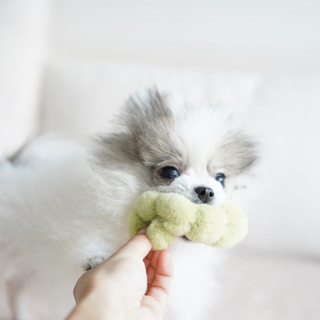 Lambwolf Collective Schnüffelspielzeug APPLE Interaktiv