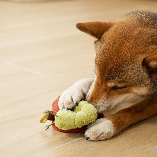 Lambwolf Collective Schnüffelspielzeug APPLE Interaktiv