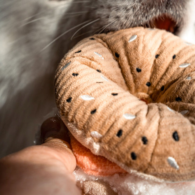 Lambwolf Collective Schnüffelspielzeug BAGEL & PICKLE Interaktiv