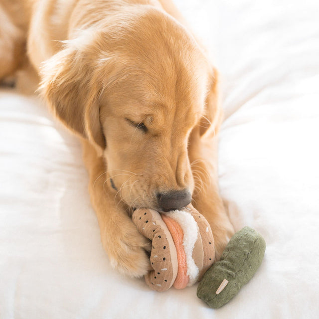 Lambwolf Collective Schnüffelspielzeug BAGEL & PICKLE Interaktiv