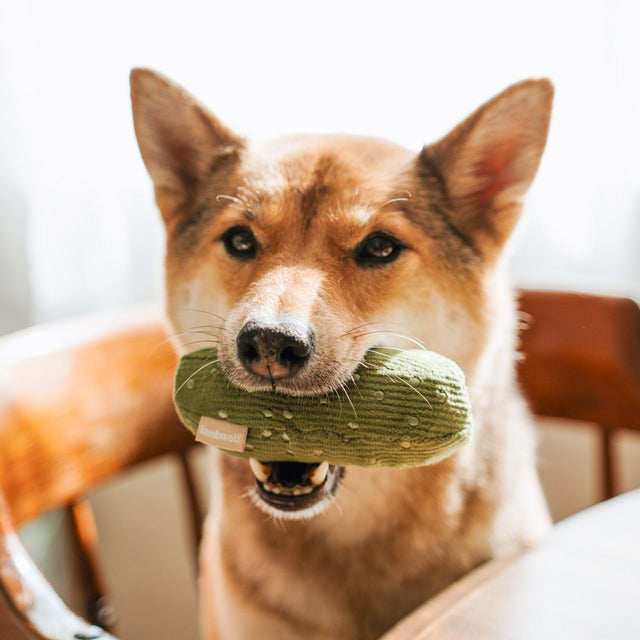 Lambwolf Collective Schnüffelspielzeug BAGEL & PICKLE Interaktiv