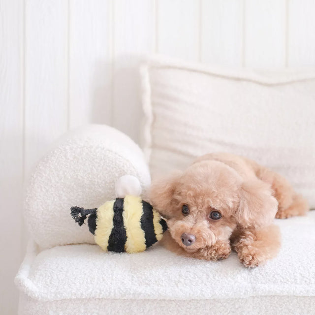 Lambwolf Collective Schnüffelspielzeug BEE POP Interaktiv