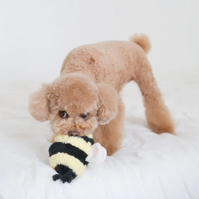 Lambwolf Collective Schnüffelspielzeug BEE POP Interaktiv