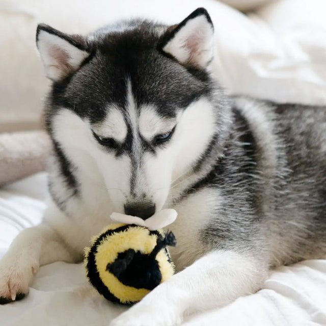 Lambwolf Collective Schnüffelspielzeug BEE POP Interaktiv