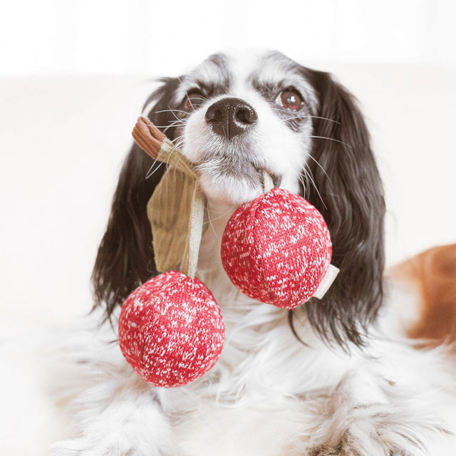 Lambwolf Collective Schnüffelspielzeug CHERRY POP Interaktiv