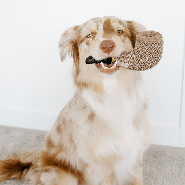 Lambwolf Collective Schnüffelspielzeug CLOCK & PIPE SET Interaktiv