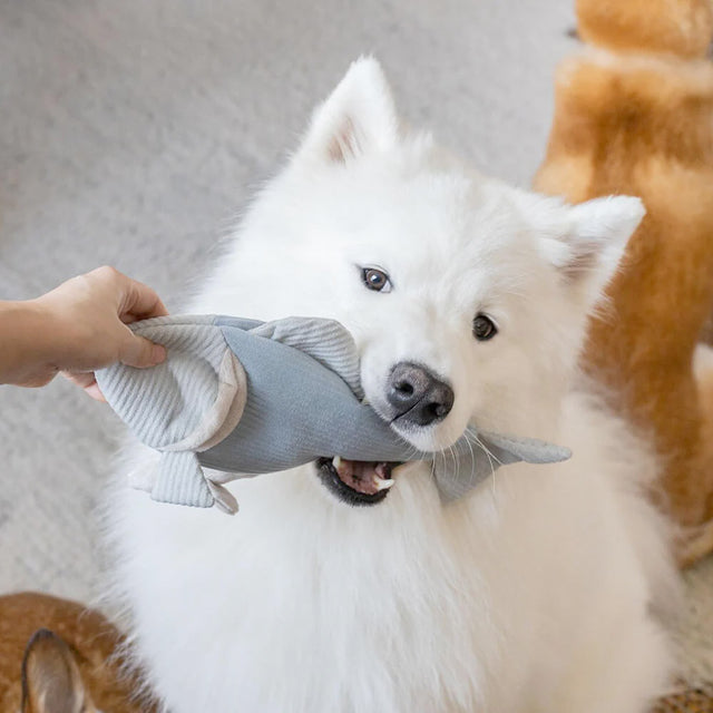 Lambwolf Collective Schnüffelspielzeug FORELLE Interaktiv