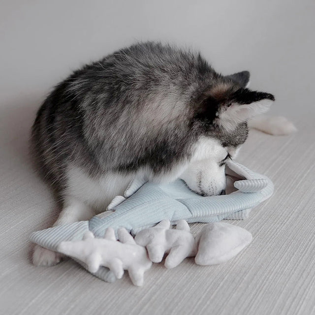 Lambwolf Collective Schnüffelspielzeug FORELLE Interaktiv