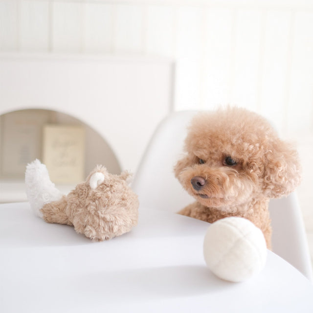 Lambwolf Collective Schnüffelspielzeug FOX POP Interaktiv