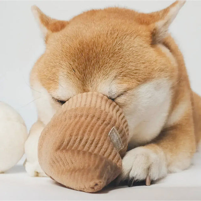 Lambwolf Collective Schnüffelspielzeug ICE CREAM POP Interaktiv