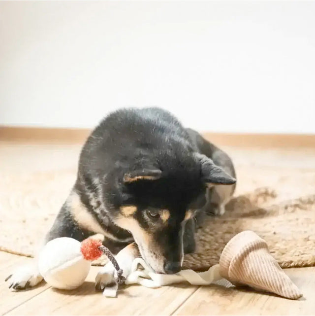 Lambwolf Collective Schnüffelspielzeug ICE CREAM POP Interaktiv