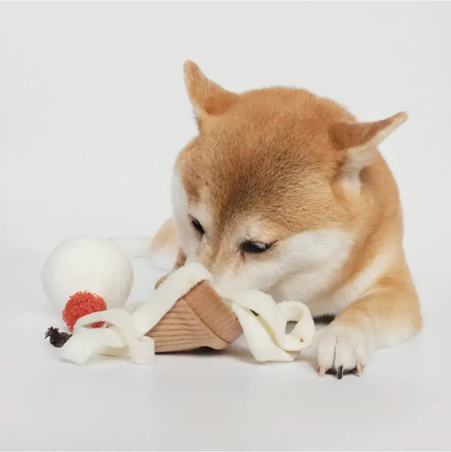 Lambwolf Collective Schnüffelspielzeug ICE CREAM POP Interaktiv
