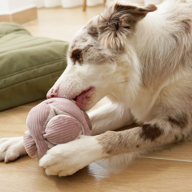 Lambwolf Collective Schnüffelspielzeug MONTI, Rosa Interaktiv