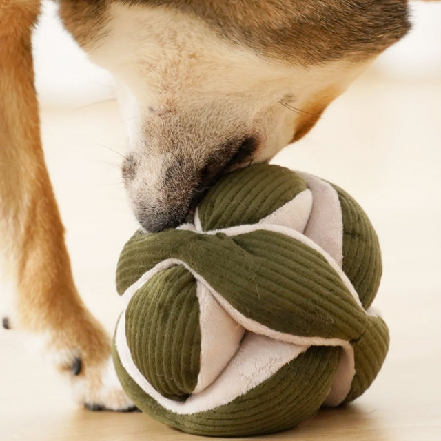 Lambwolf Collective Schnüffelspielzeug MONTI, Pinien-Grün Interaktiv