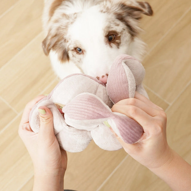 Lambwolf Collective Schnüffelspielzeug MONTI, Purple Interaktiv