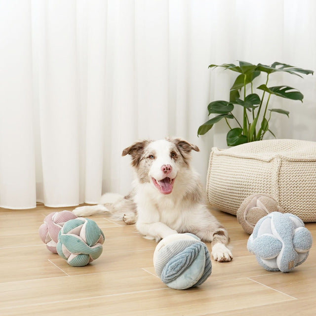 Lambwolf Collective Schnüffelspielzeug MONTI, Purple Interaktiv