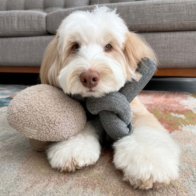 Lambwolf Collective Schnüffelspielzeug NOU Charcoal, mit Knistereffekt Interaktiv