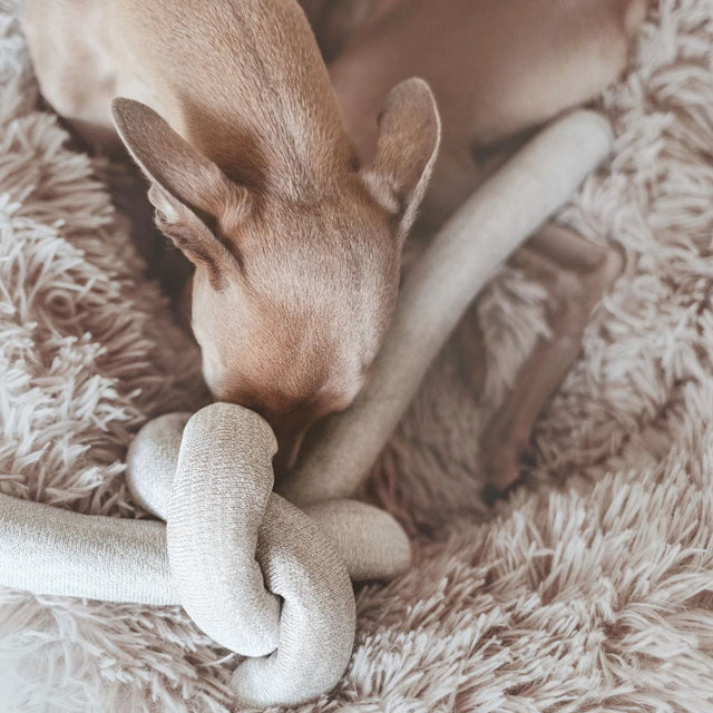 Lambwolf Collective Schnüffelspielzeug NOU Gray, mit Knistereffekt Interaktiv