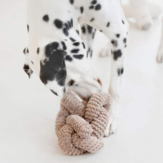 Lambwolf Collective Schnüffelspielzeug NOU Taupe Interaktiv