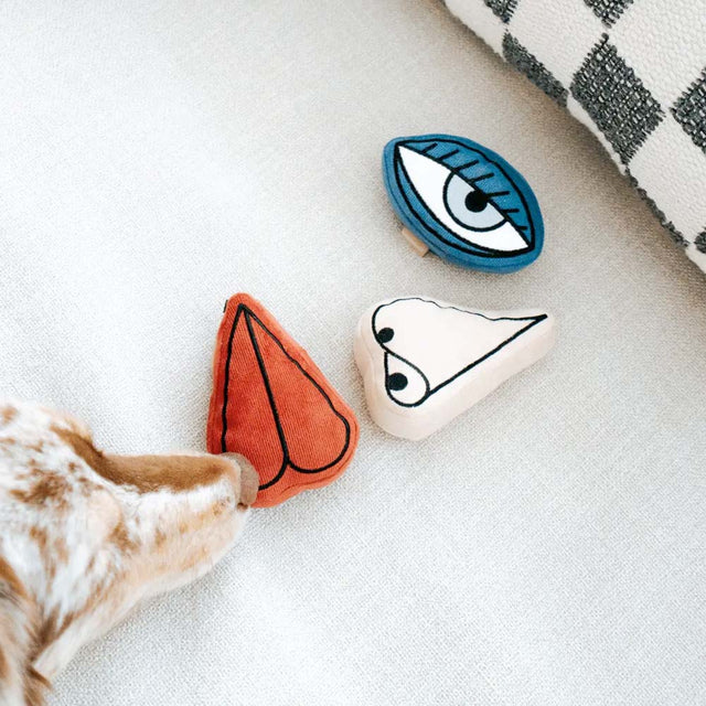 Lambwolf Collective Schnüffelspielzeug PICASSO Interaktiv