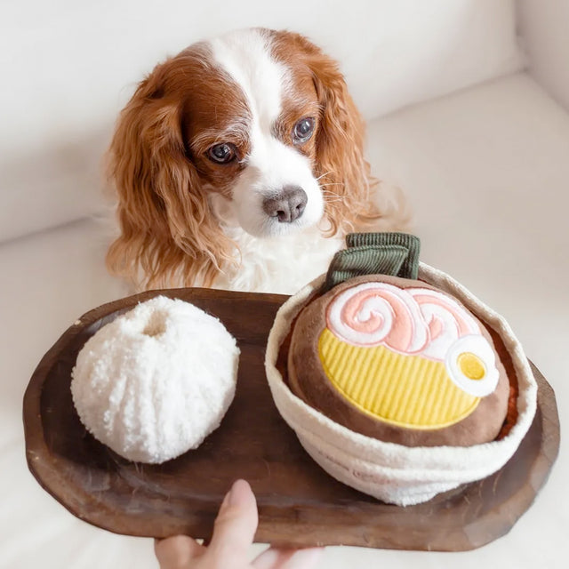 Lambwolf Collective Schnüffelspielzeug RAMEN Suppe Interaktiv