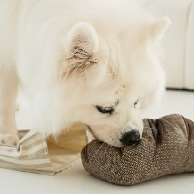 Lambwolf Collective Schnüffelspielzeug RYE Interaktiv