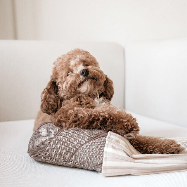 Lambwolf Collective Schnüffelspielzeug RYE Interaktiv