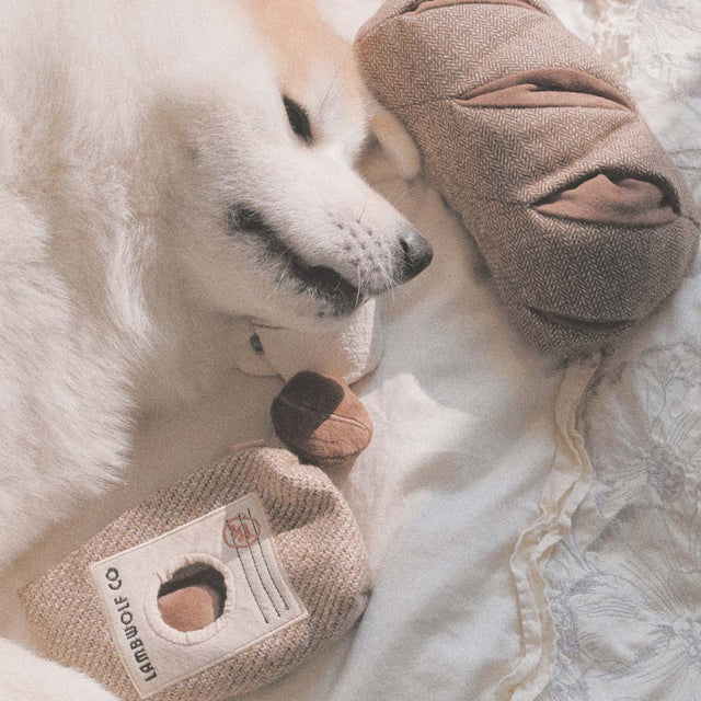 Lambwolf Collective Schnüffelspielzeug RYE Interaktiv