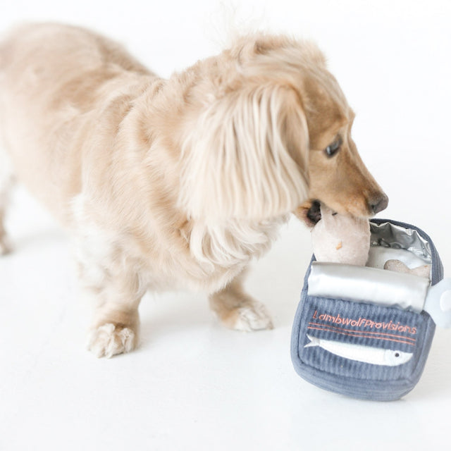 Lambwolf Collective Schnüffelspielzeug SARDINES Interaktiv