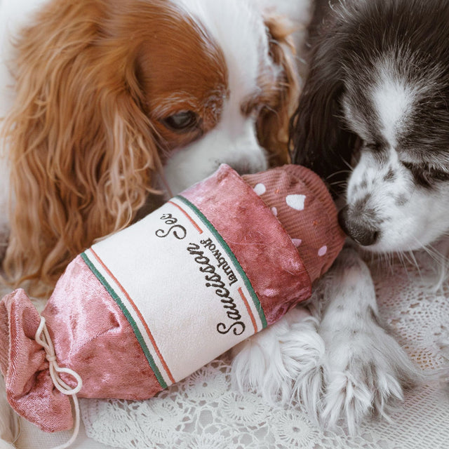 Lambwolf Collective Schnüffelspielzeug SAUCISSON Interaktiv