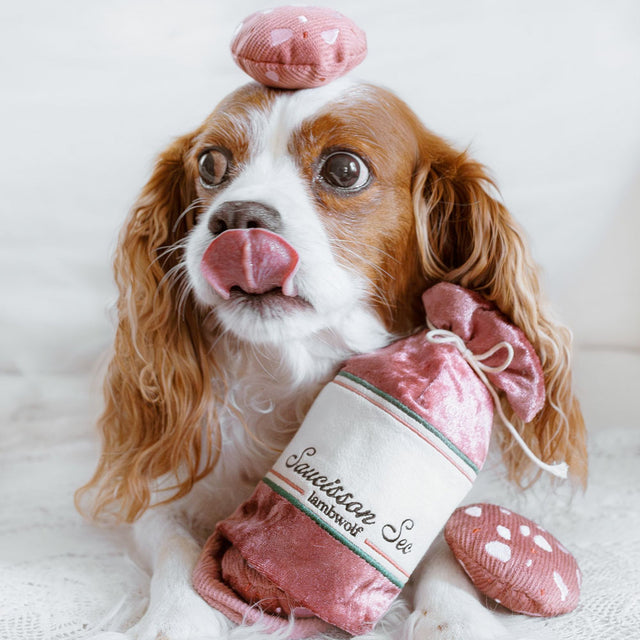 Lambwolf Collective Schnüffelspielzeug SAUCISSON Interaktiv