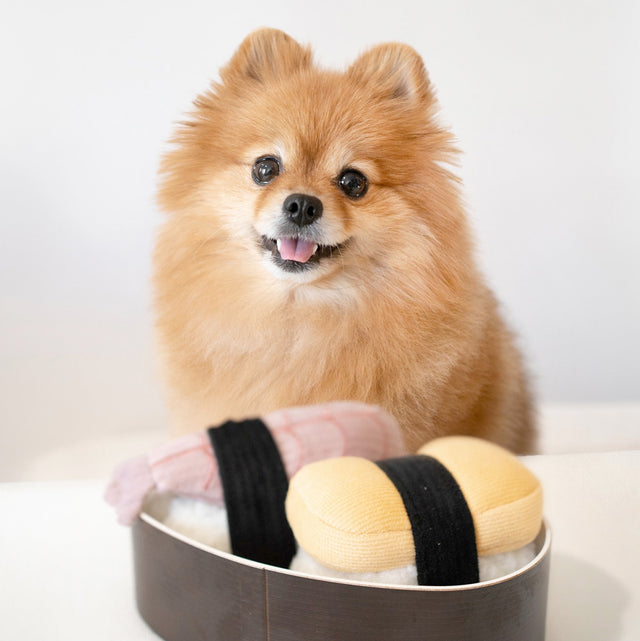 Lambwolf Collective Schnüffelspielzeug SUSHI Interaktiv