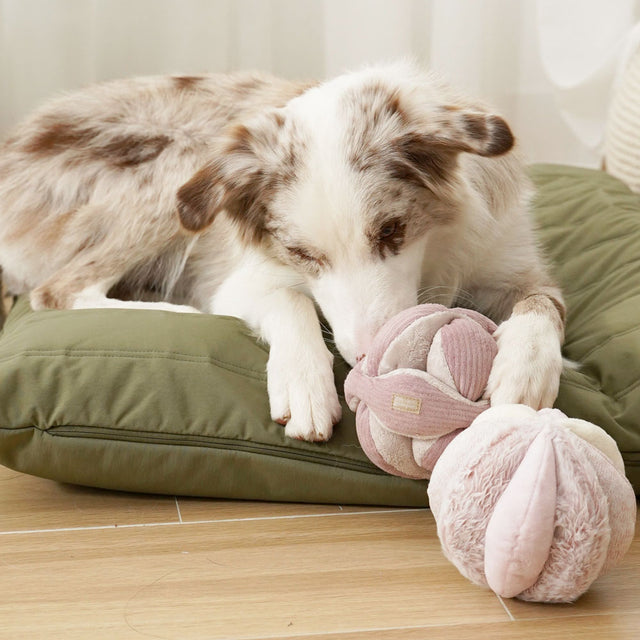 Lambwolf Collective Schnüffelspielzeug TOTO, Blush Interaktiv