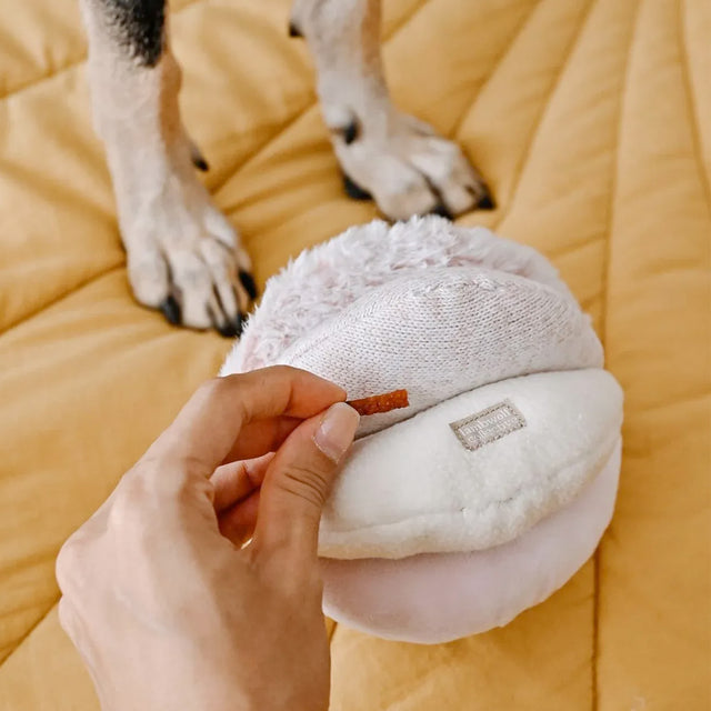 Lambwolf Collective Schnüffelspielzeug TOTO, Blush Interaktiv