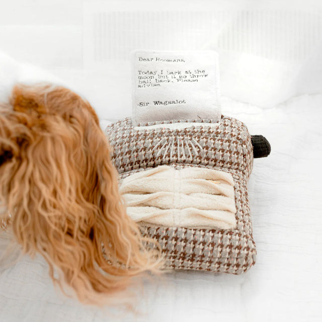 Lambwolf Collective Schnüffelspielzeug TYPEWRITER Interaktiv