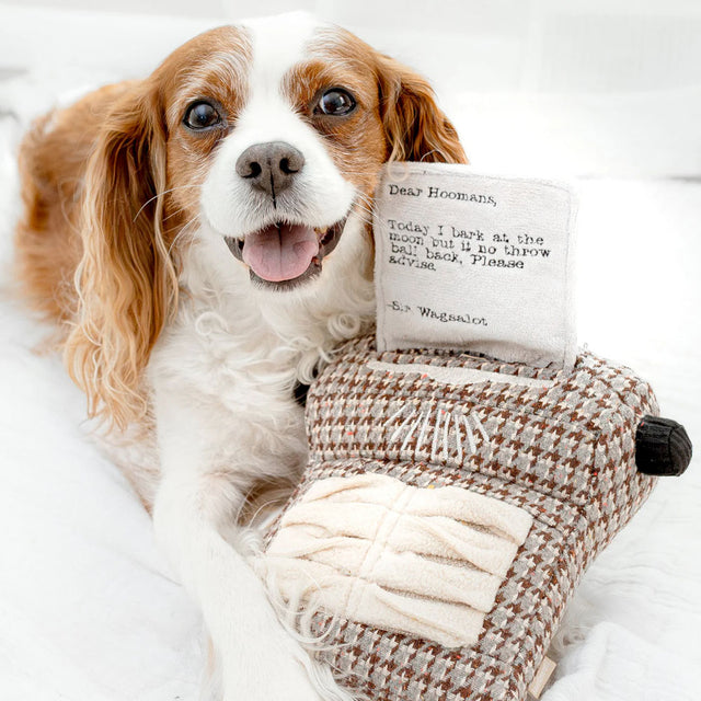 Lambwolf Collective Schnüffelspielzeug TYPEWRITER Interaktiv