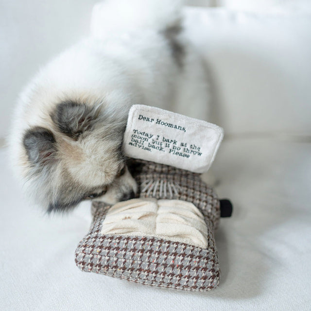 Lambwolf Collective Schnüffelspielzeug TYPEWRITER Interaktiv