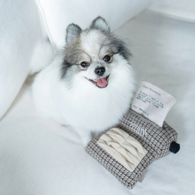 Lambwolf Collective Schnüffelspielzeug TYPEWRITER Interaktiv