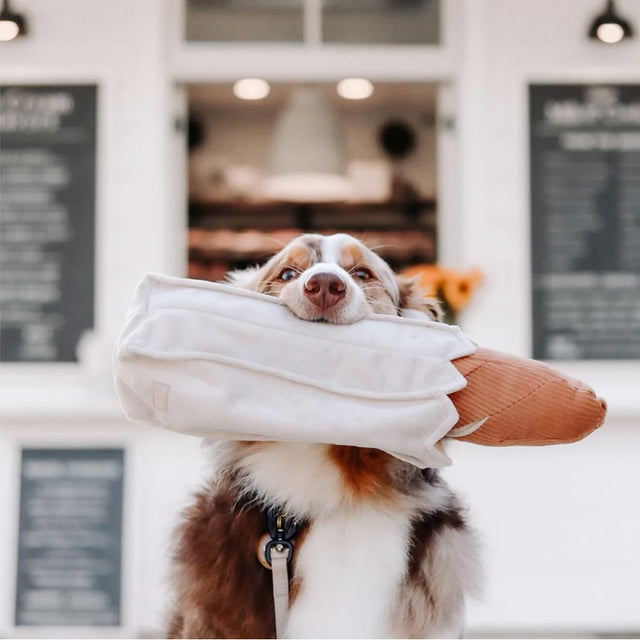 Lambwolf Collective Schnüffelspielzeug BAGUETTE Interaktiv